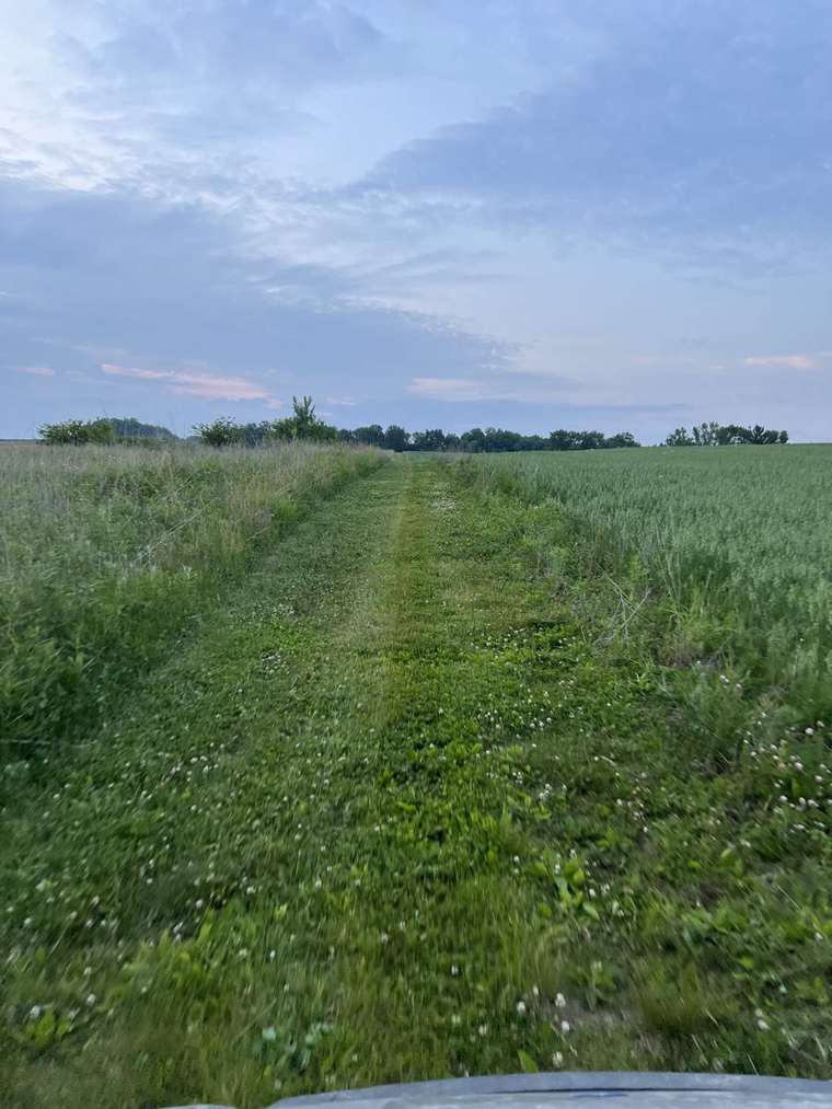 Mowed headland between crop ground and grass at dusk in Eastern Iowa